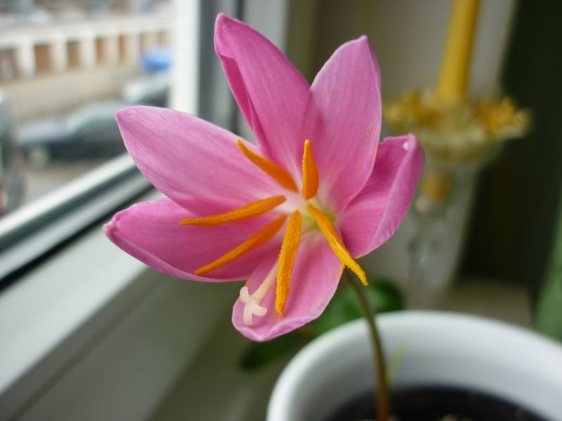 P1130736.JPG