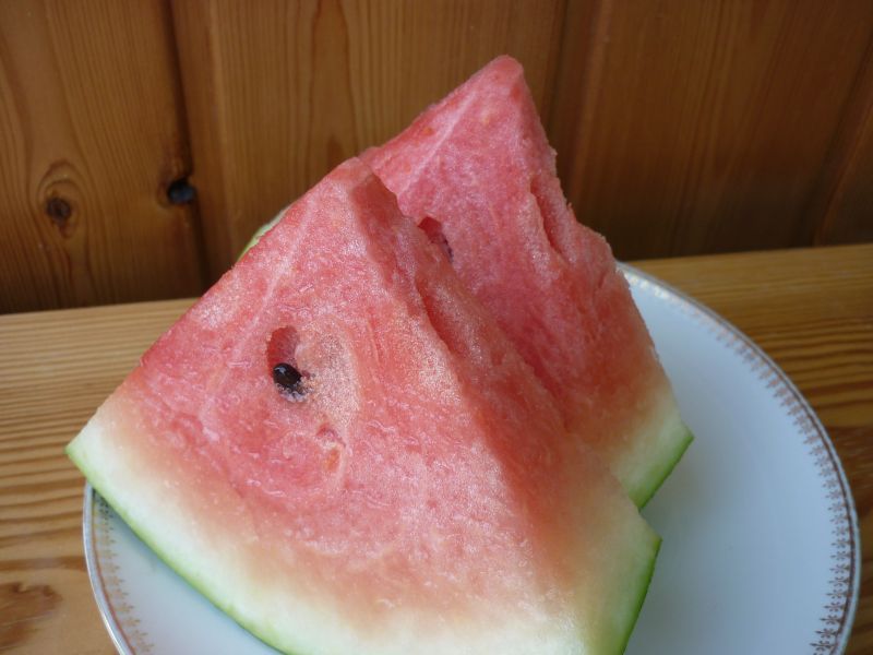 P1130721.jpg