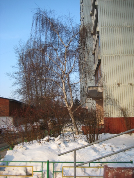 IMG_7461.JPG