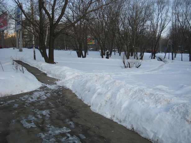 IMG_7464.JPG