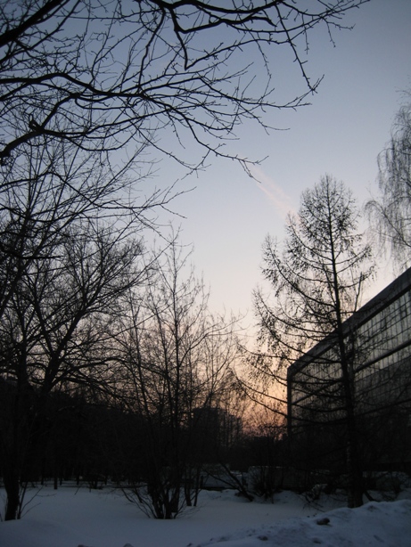 IMG_7474.JPG