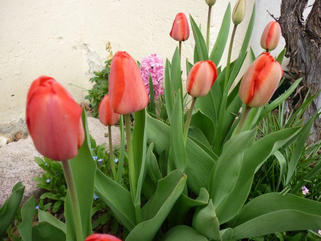 P1130875.JPG