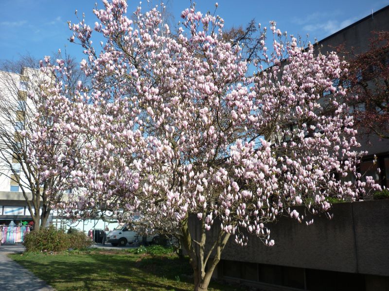 P1130949.JPG