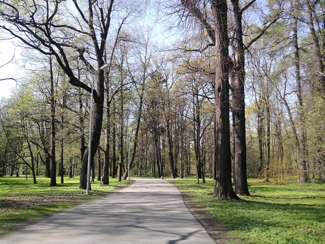 5. В парке.jpg