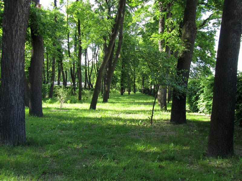 9.За шпалерами.JPG