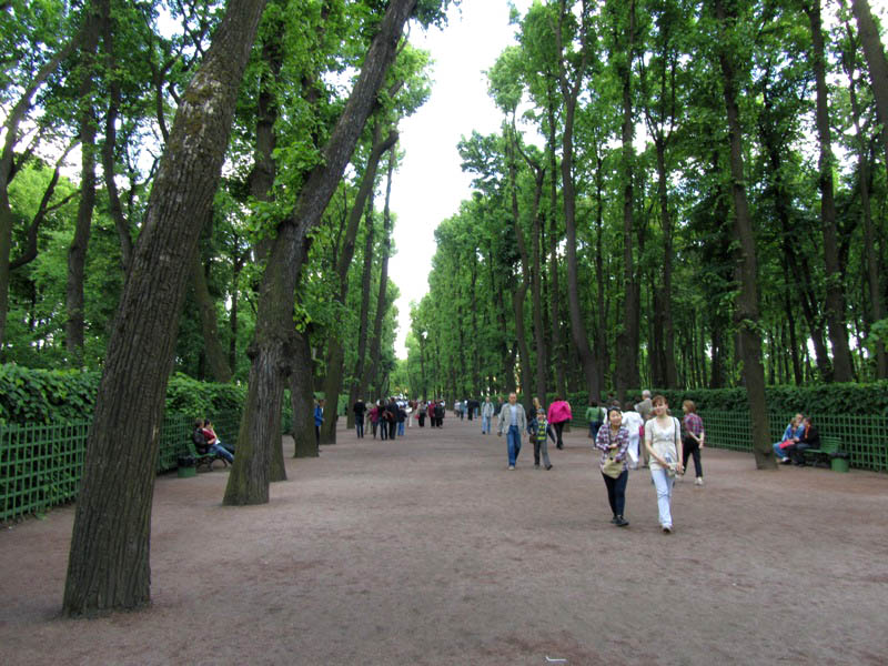 30.Боковая аллея.JPG