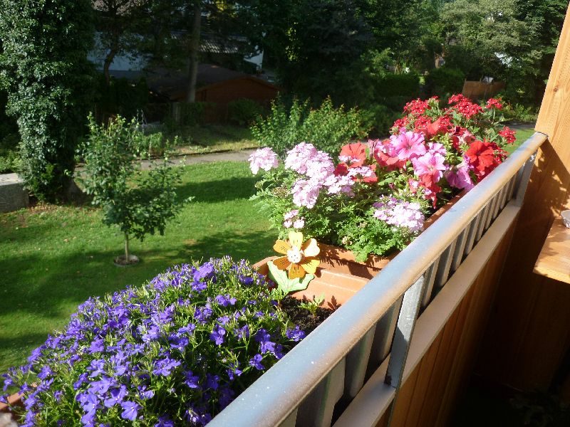 P1150469.JPG