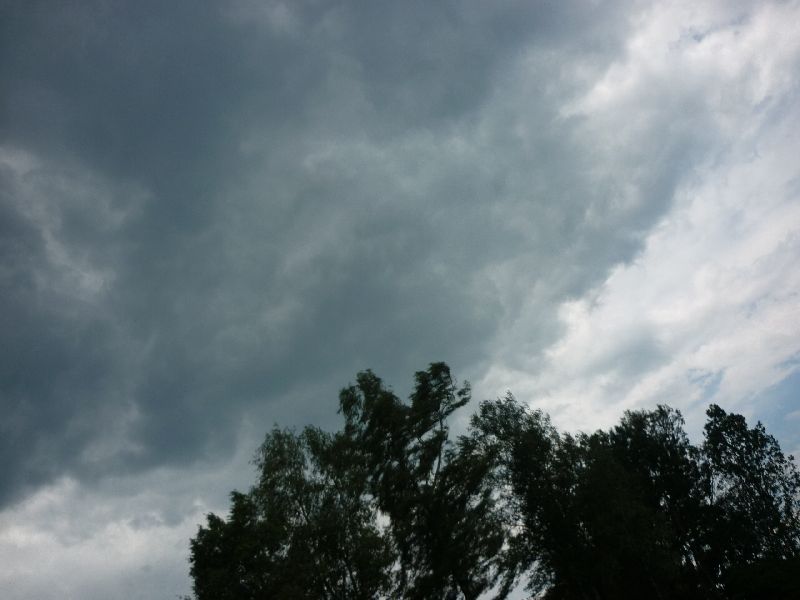 P1150599.JPG