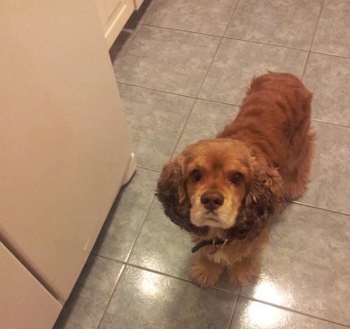 20130306_224116-1.jpg