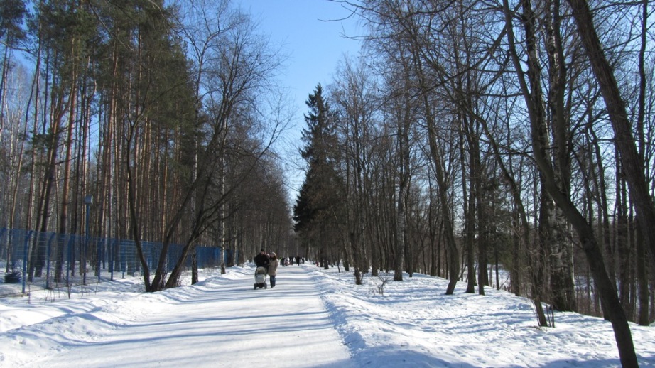 01.JPG