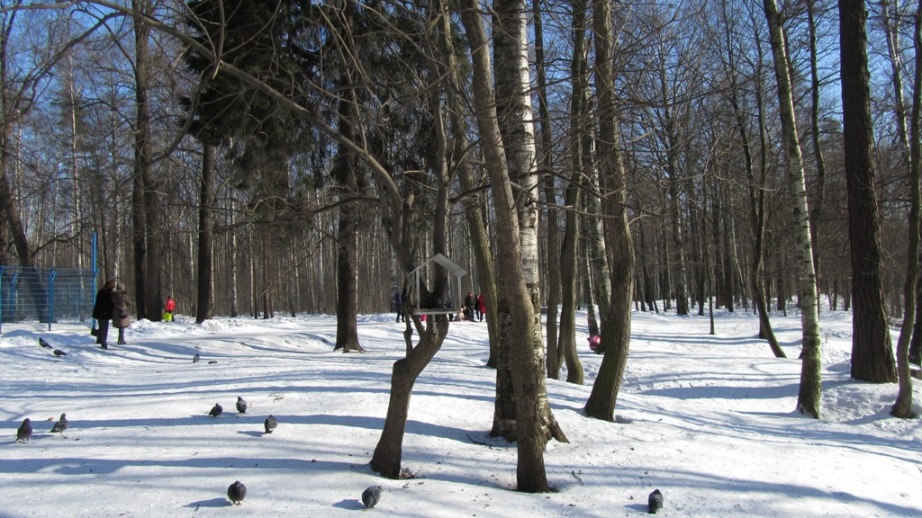02.JPG