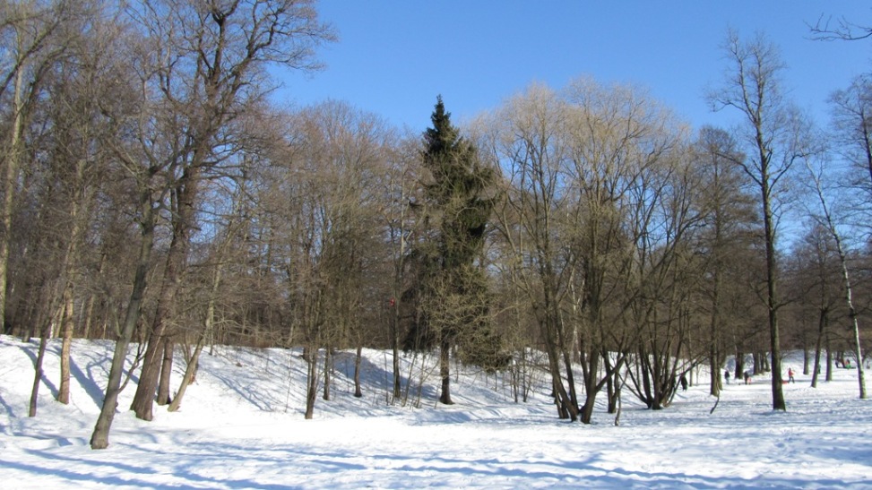 03.JPG