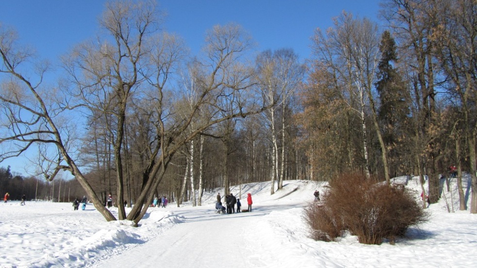 05.JPG