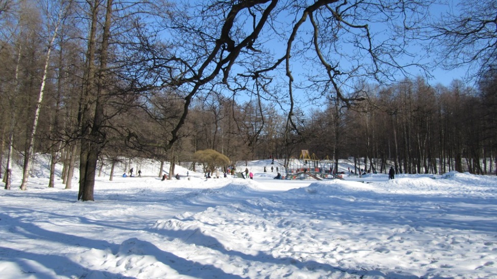 06.JPG