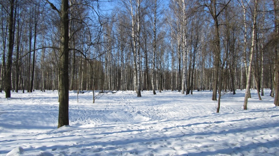 07.JPG