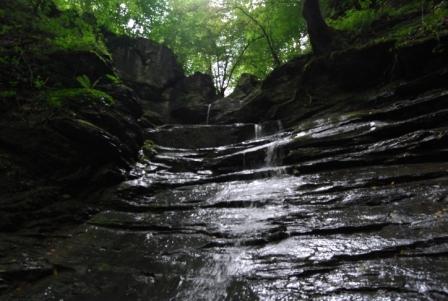 DSC_0056.JPG