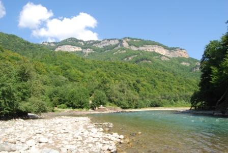 DSC_0247.JPG