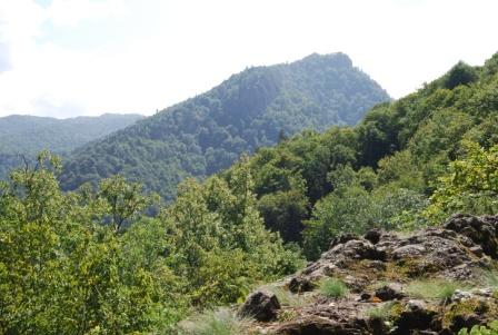 DSC_0265.JPG