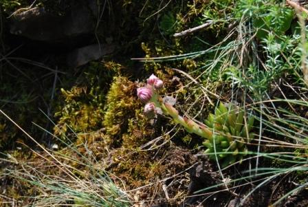 DSC_0283.JPG