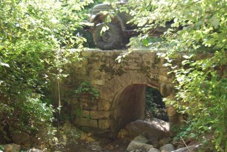 DSC_0335.JPG