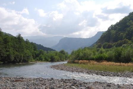 DSC_0463.JPG
