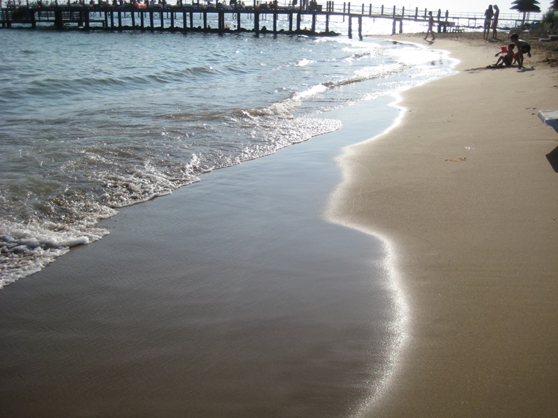 IMG_8395.JPG