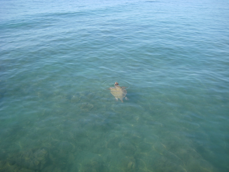 IMG_8429.JPG