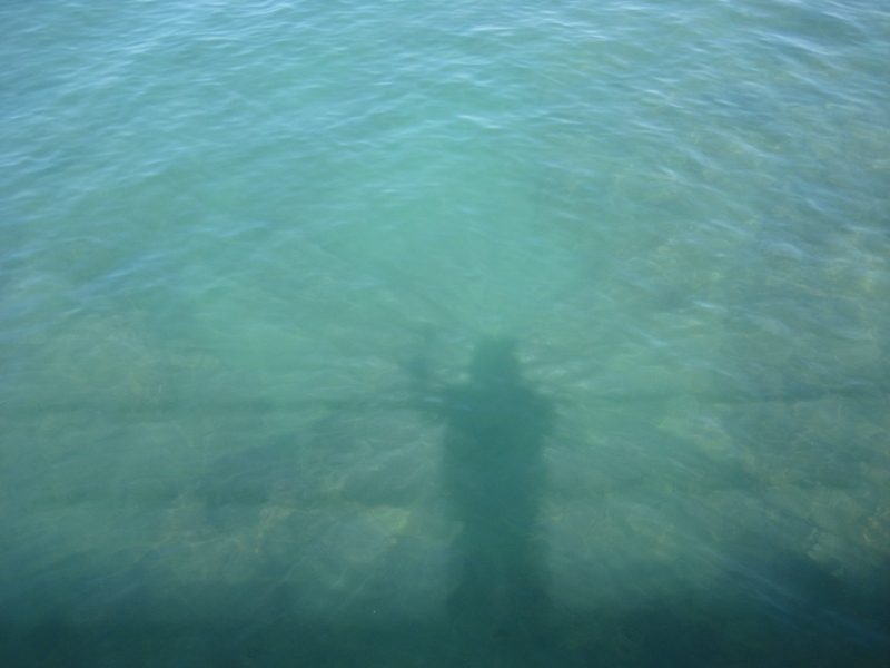 IMG_8435.JPG