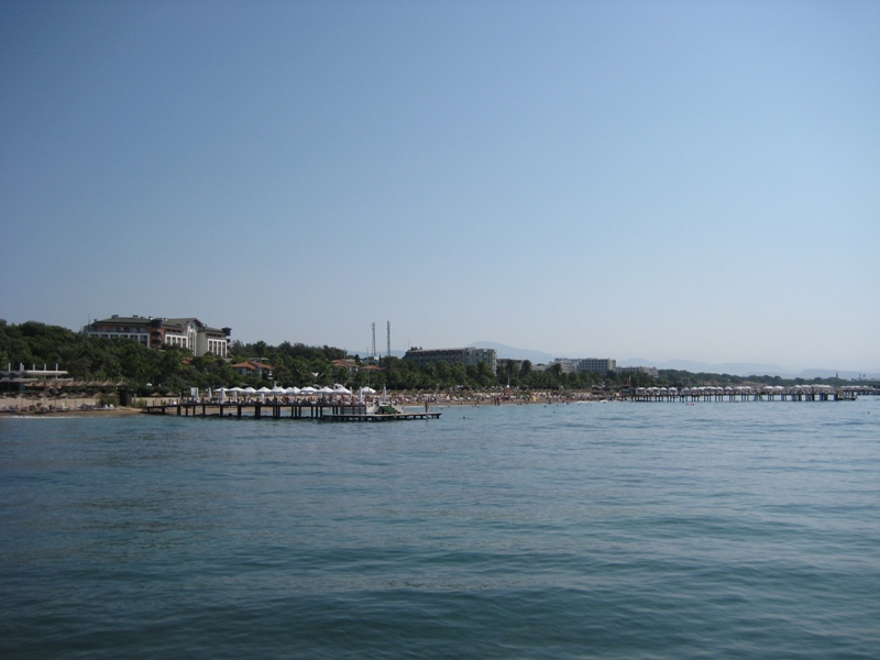 IMG_8445.JPG