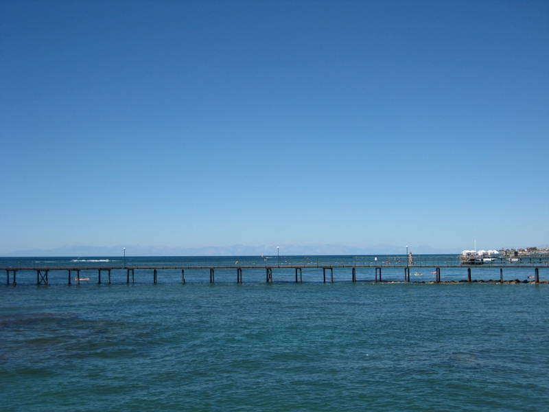 IMG_8786.JPG
