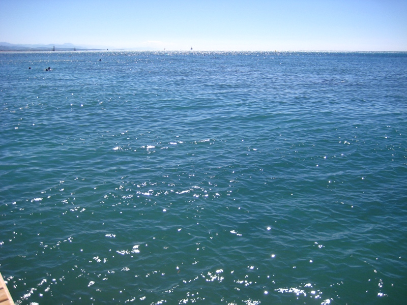 IMG_8795.JPG