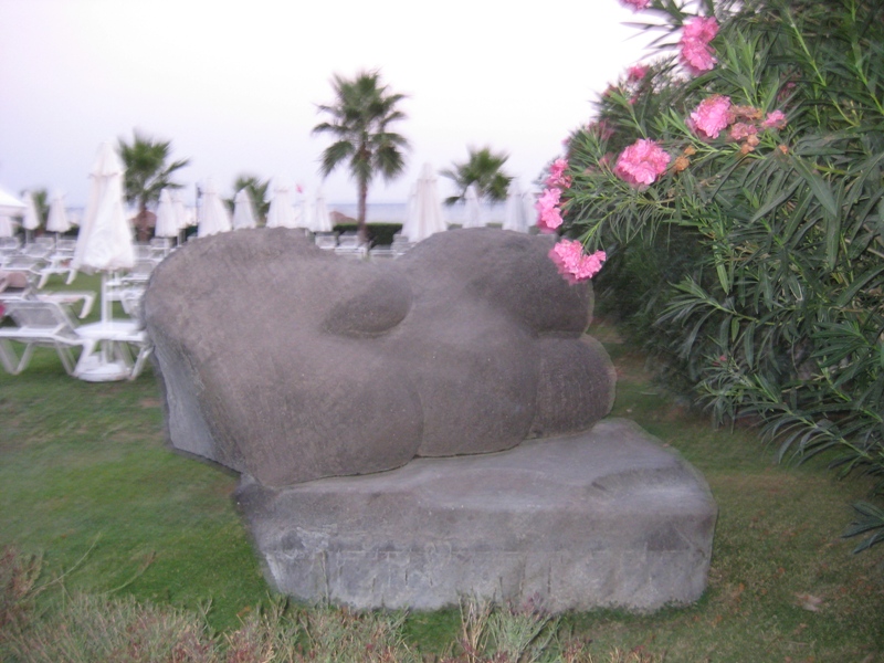 IMG_8686.JPG