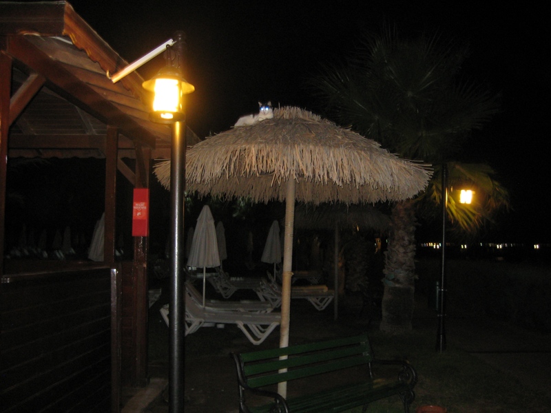 IMG_8873.JPG