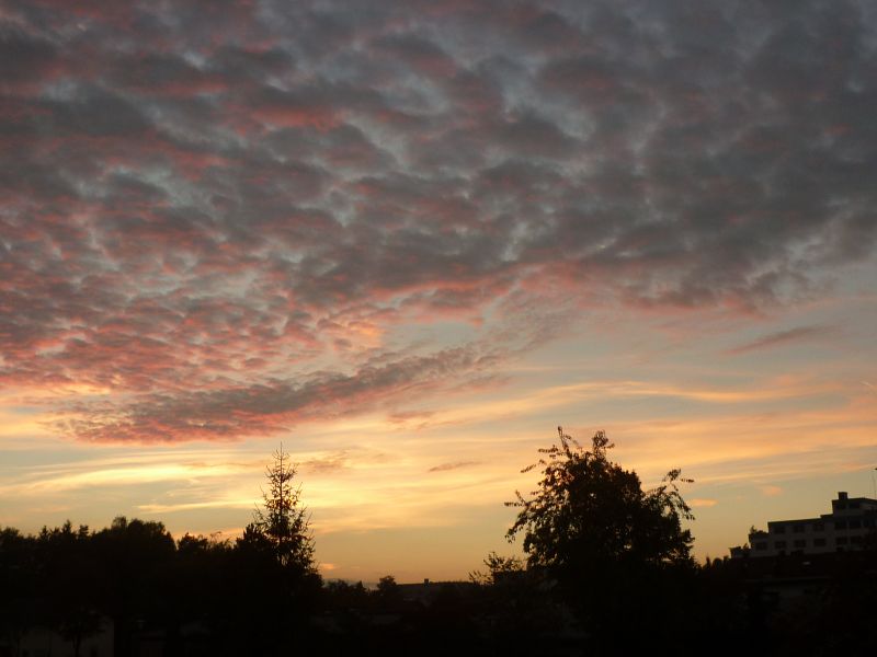P1210425.JPG