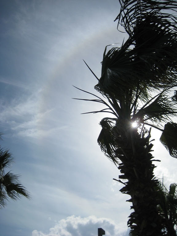 IMG_1131.JPG
