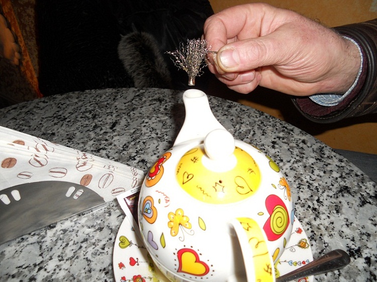 DSCN2233.JPG