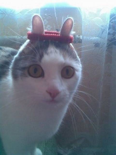 1327028854_089.jpg